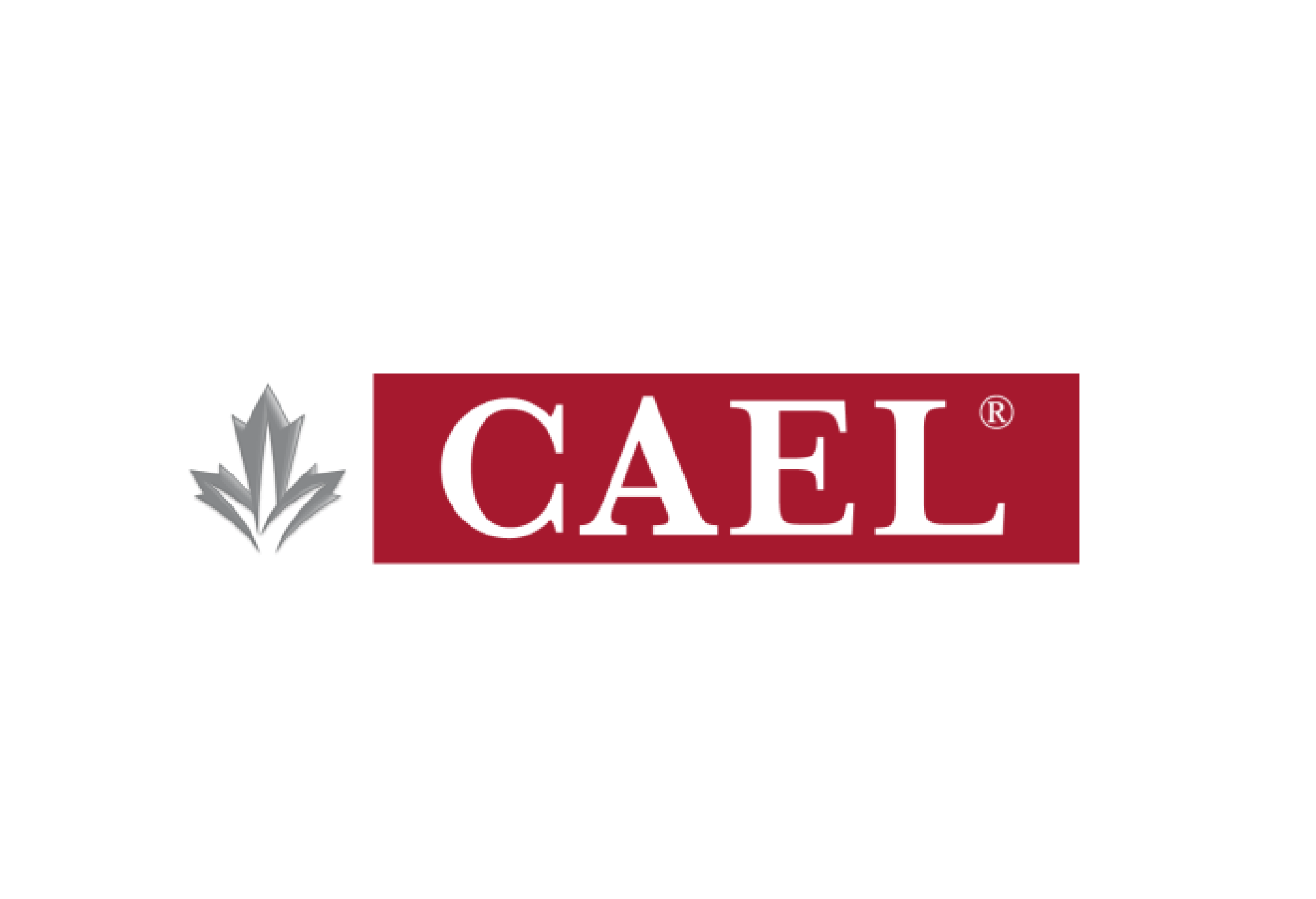 CAEL Online Test Canadian Academic English Language Test