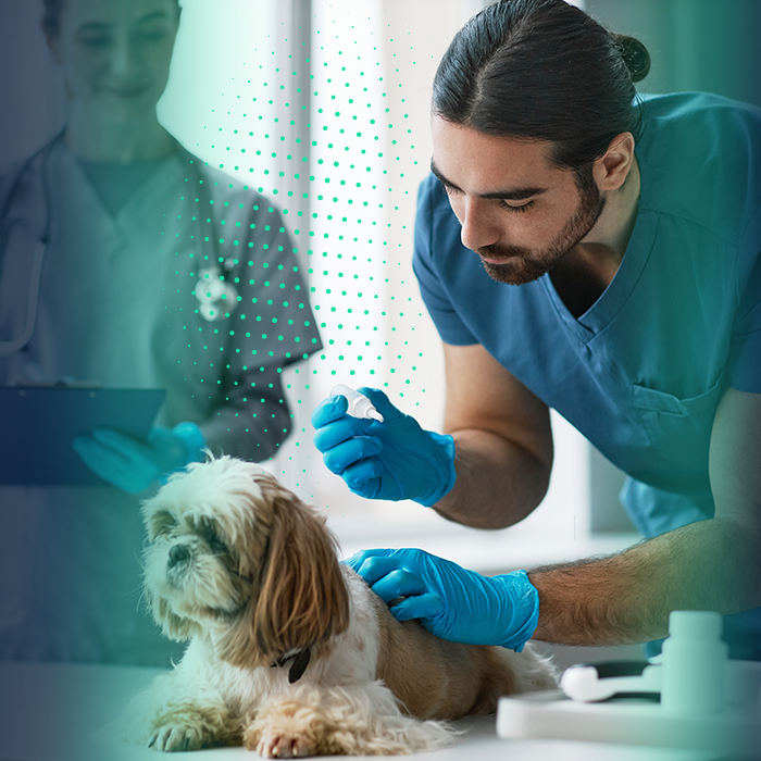 Markets We Serve header wgraphics