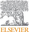 Elsevier Remotely Proctored Exams | Prometric